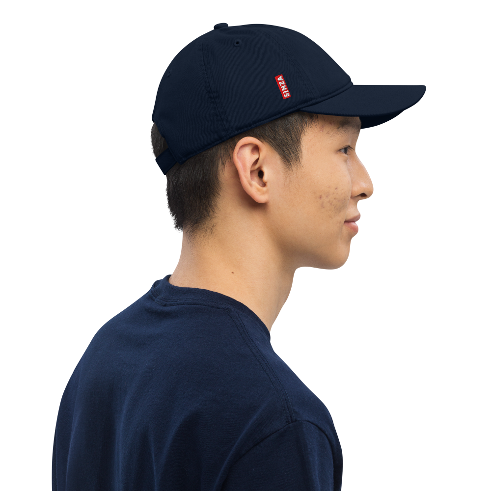 Pet Clip Hat
